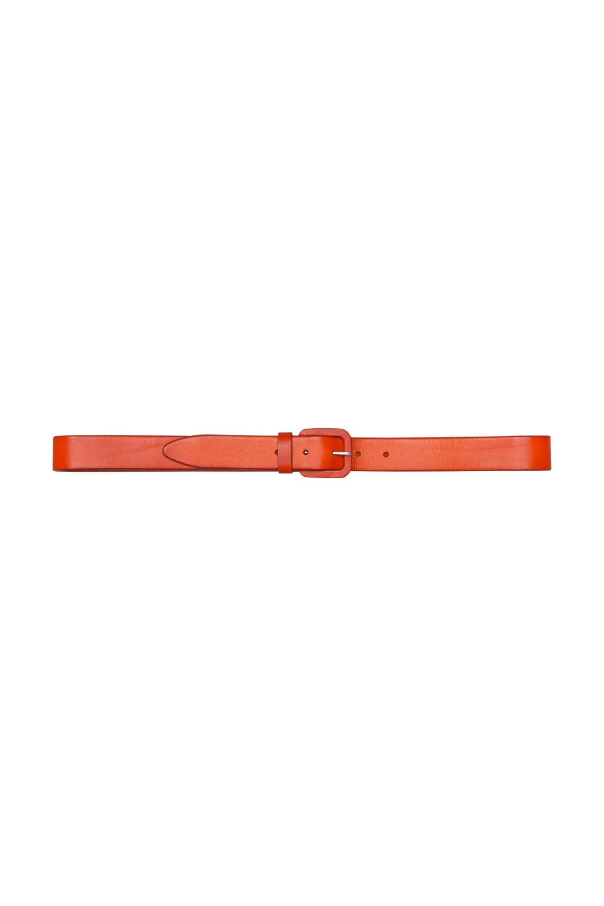 Olive Belt
